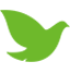 dove icon, mission icon, peace icon, green icon
